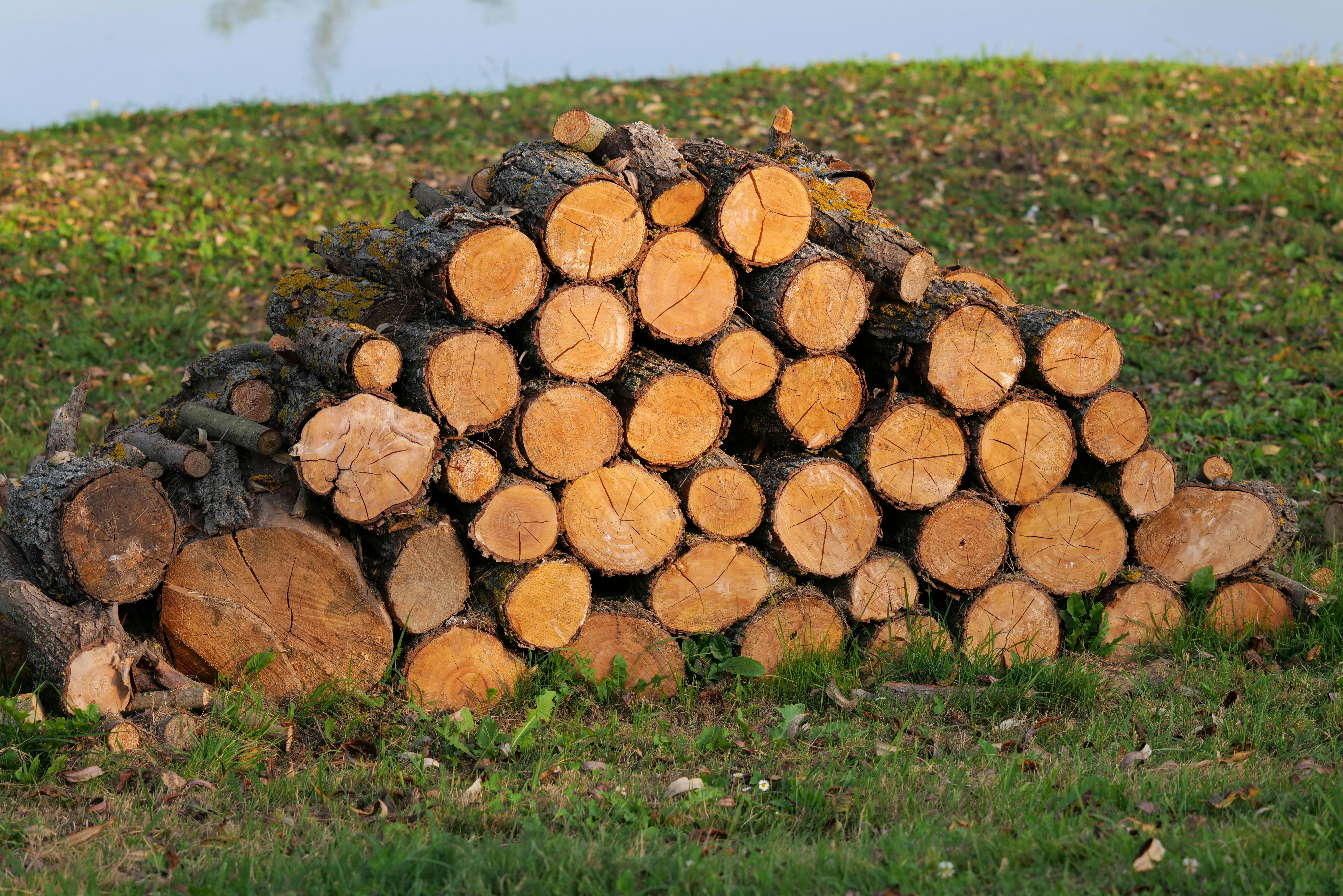 valley_handyman_mowing_tree_removal-1